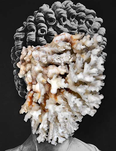 Lamas Nicolas, Posthuman Portrait Coral, 2021