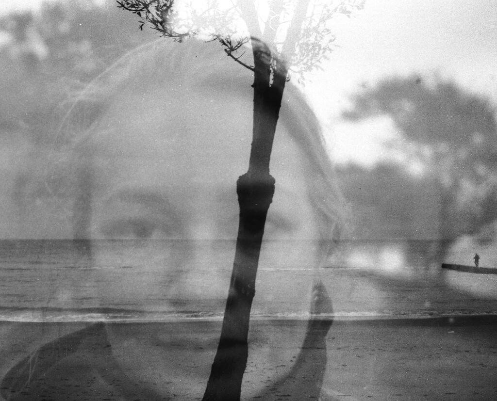 Credits: Vera zemlyanika