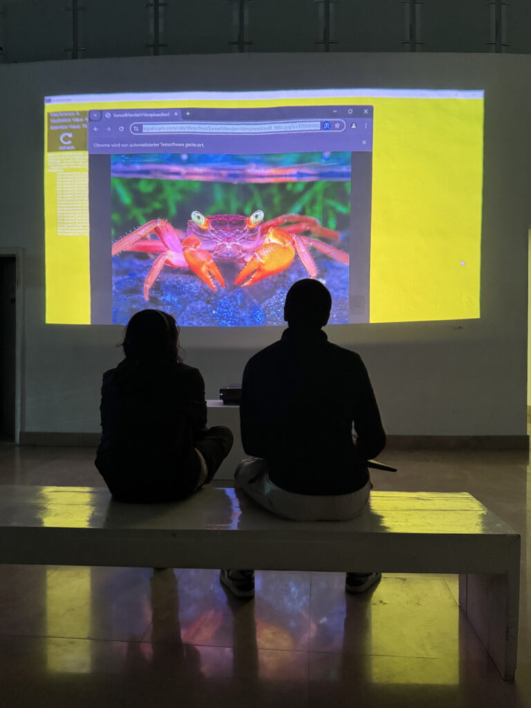 Brainweb, Interactive new media art installation, Laurus Edelbacher, Azalea Ortega Flores