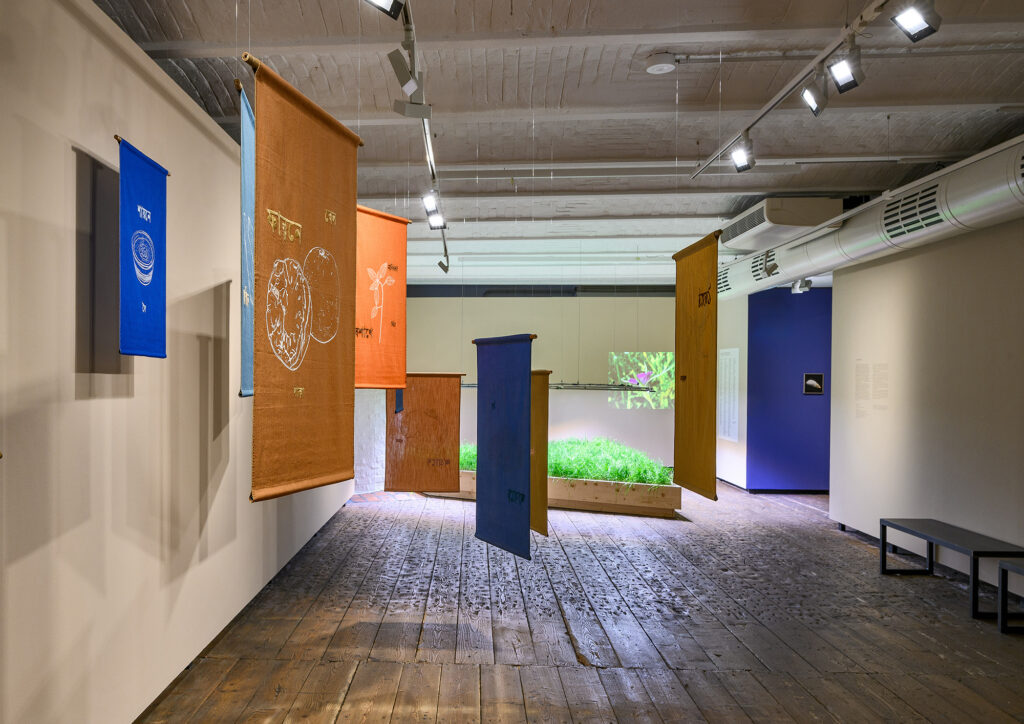Ausstellungsansicht Seeds. Reclaiming Roots, Sowing Futures © KunstHausWien, Foto: Iris Ranzinger