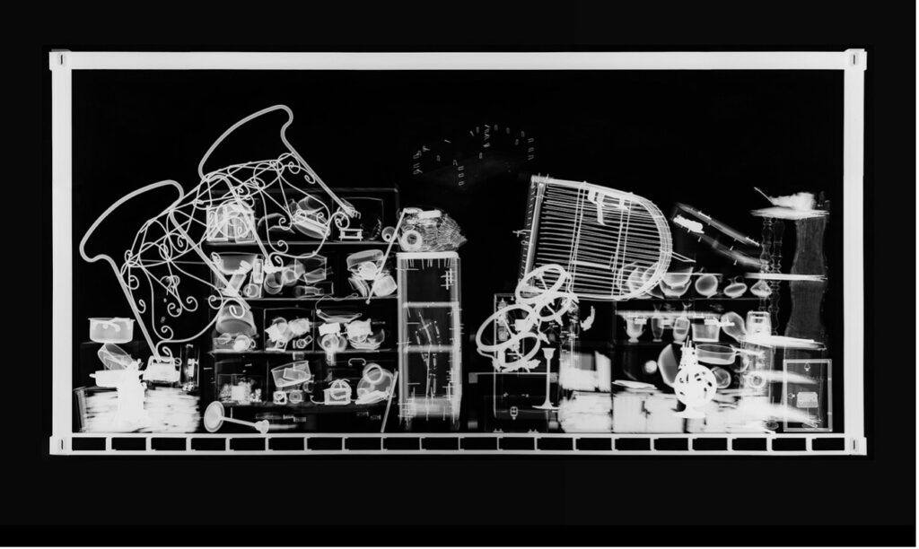 Bildcredit: Gabriele Rothemann, Hab und Gut No. 7, 2012, Radiografie auf Röntgenfilm, je 98,7 x 212,5 cm